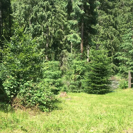 Alyaska Domek letniskowy