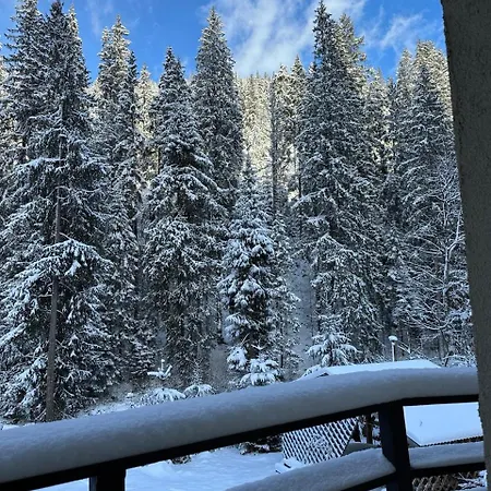 Alyaska * Bukovel