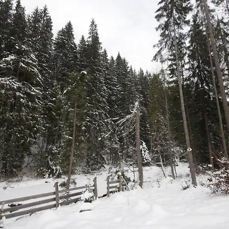 Lodge Alyaska