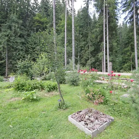 Alyaska