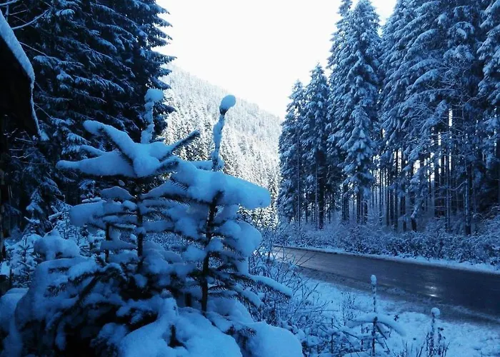 Alyaska *