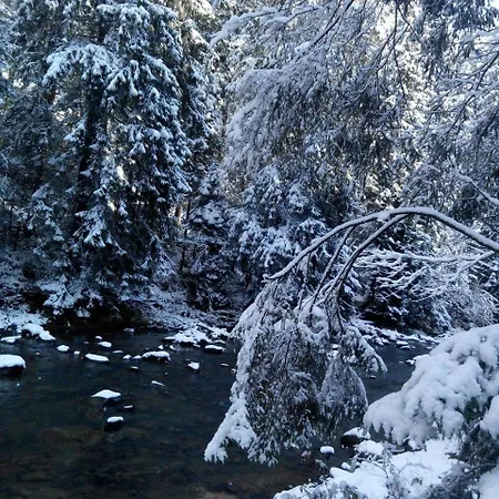 Alyaska * Bukovel