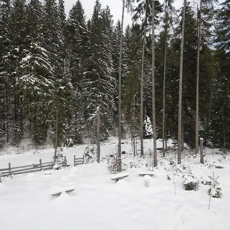 Alyaska *